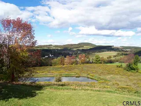 456 Settles Mountain Rd, Cobleskill, NY 12043 photo 13