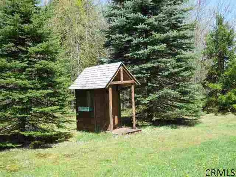 110 Zellner Rd, Summit, NY 12175 photo 5