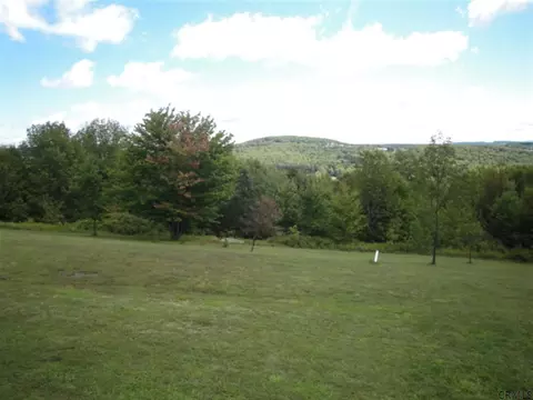 151 Ernest Rd, Summit, NY 12175 photo 18