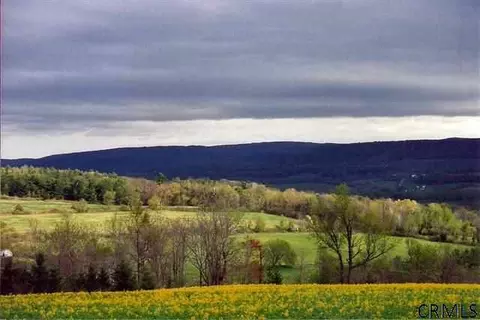 394 Dugan Hill Rd, Schoharie, NY 12157 photo 8
