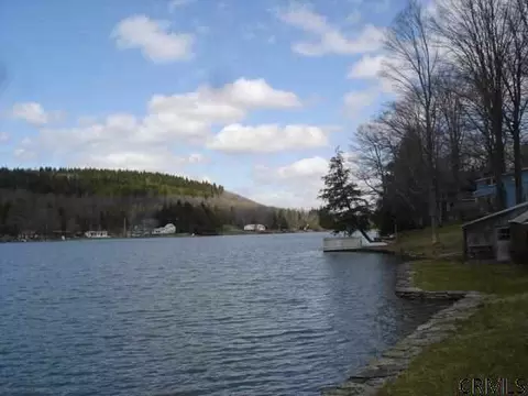 123 Bears Den Rd, Summit, NY 12175 photo 3