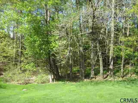 48 Daniel St, Slingerlands, NY 12159 photo 23