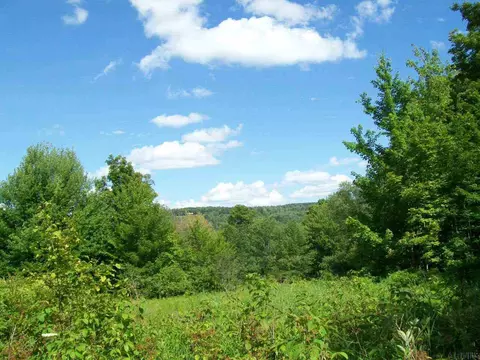 156 Gray Rd, Summit, NY 12175 photo 23