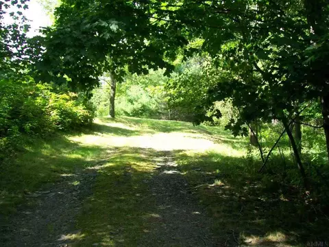 156 Gray Rd, Summit, NY 12175 photo 17