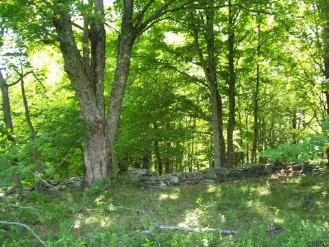156 Gray Rd, Summit, NY 12175 photo 21