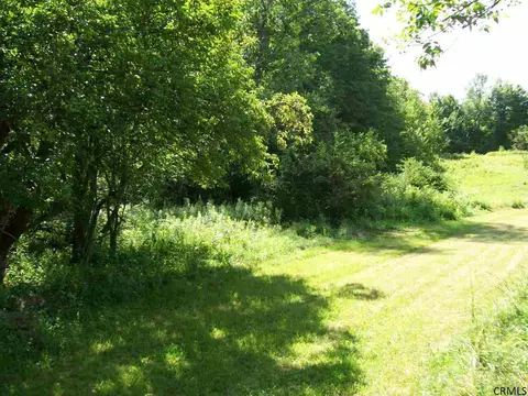 156 Gray Rd, Summit, NY 12175 photo 3