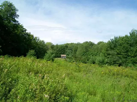 156 Gray Rd, Summit, NY 12175 photo 24
