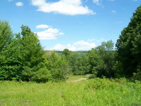 156 Gray Rd, Summit, NY 12175 photo 25