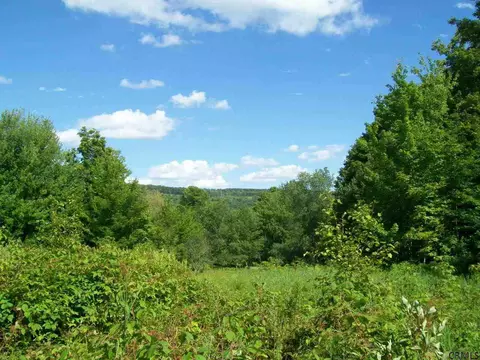 156 Gray Rd, Summit, NY 12175 photo 20