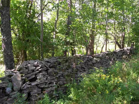 156 Gray Rd, Summit, NY 12175 photo 2