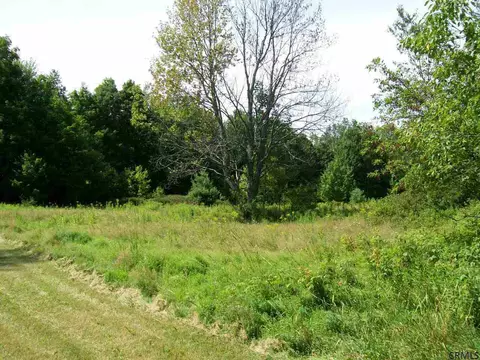 156 Gray Rd, Summit, NY 12175 photo 4