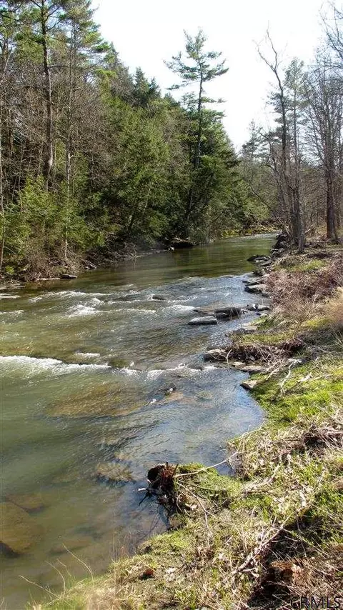 1989 Indian Fields Rd, Feura Bush, NY 12067 photo 22
