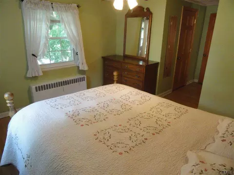 167 Winne Rd, Delmar, NY 12054 photo 17