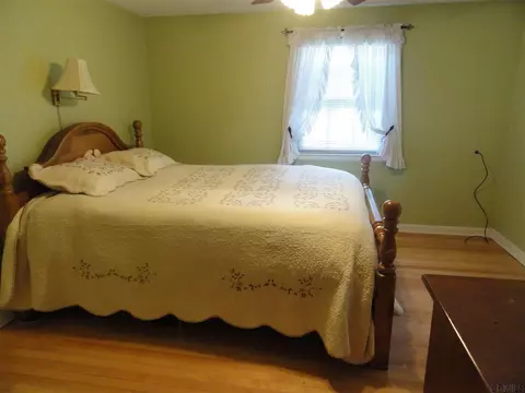 167 Winne Rd, Delmar, NY 12054 photo 16