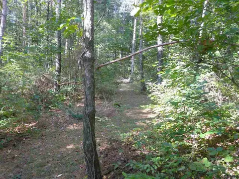 939 State Route 197, Argyle, NY 12809 photo 20