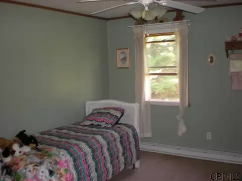 445 Van Antwerp Rd, Johnstown, NY 12095 photo 16