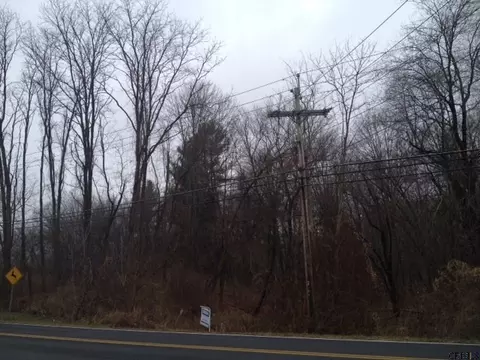 33 Blessing Rd, Slingerlands, NY 12159 photo 4