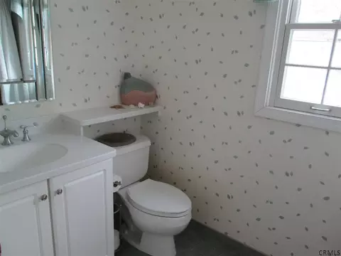 32 Tierney Dr, Delmar, NY 12054 photo 20