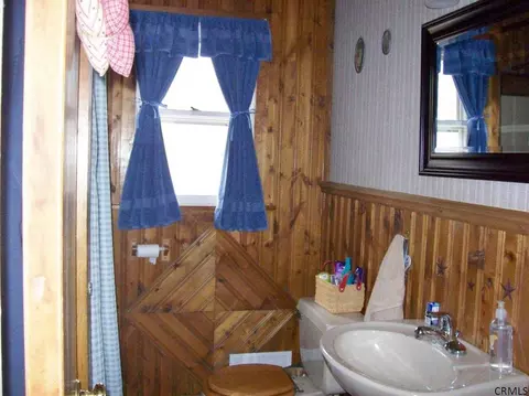 107 Maple Ave, Selkirk, NY 12158 photo 15