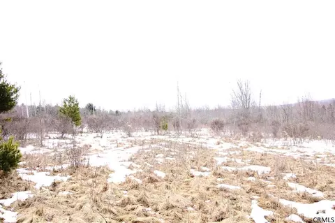 138 Hicks Rd, Summit, NY 12175 photo 8