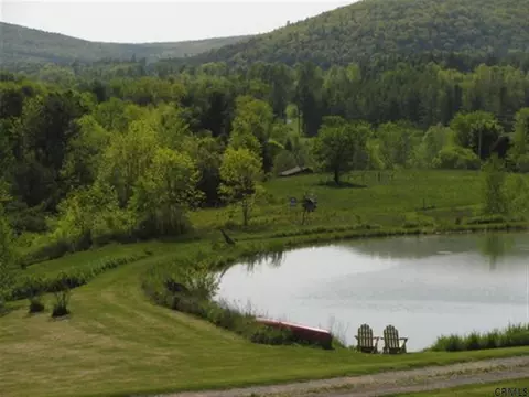 1608 Cotton Hill Rd, Berne, NY 12023 photo 24