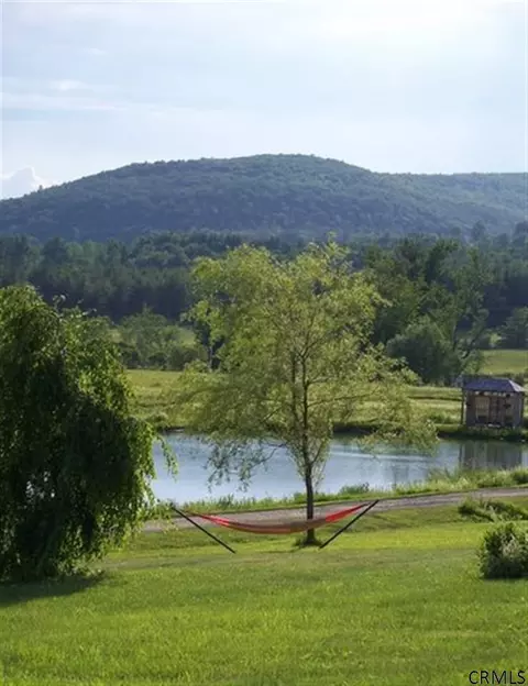 1608 Cotton Hill Rd, Berne, NY 12023 photo 5