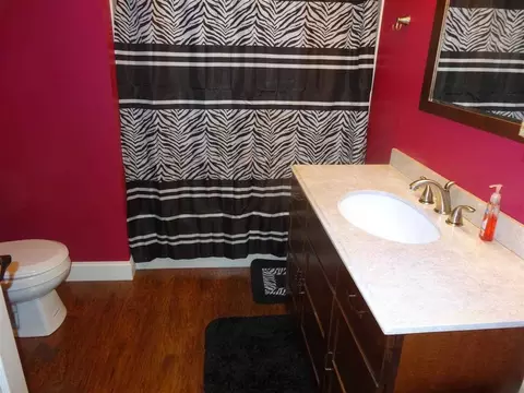 39 Annabelle Rd, Westerlo, NY 12193 photo 19
