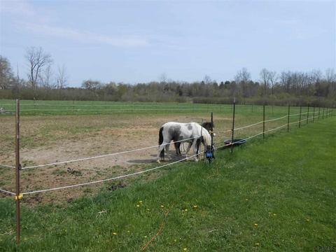 860 E Lykers Rd, Sprakers, NY 12166 photo 17