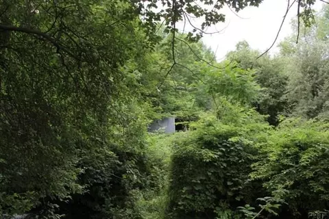 643 Bear Gulch Rd, Summit, NY 12175 photo 9