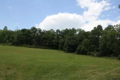 643 Bear Gulch Rd, Summit, NY 12175 photo 2