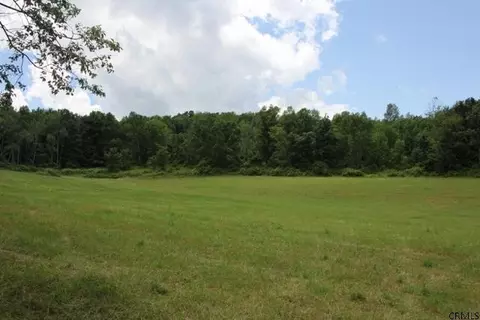 643 Bear Gulch Rd, Summit, NY 12175 photo 3