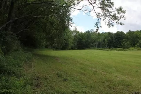 643 Bear Gulch Rd, Summit, NY 12175 photo 4