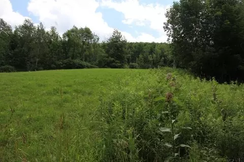 643 Bear Gulch Rd, Summit, NY 12175 photo 6