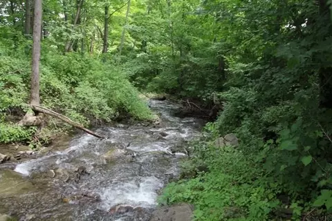 643 Bear Gulch Rd, Summit, NY 12175 photo 10
