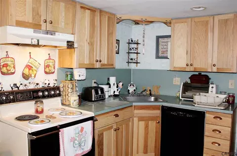 19 Leonard Dr, Delmar, NY 12054 photo 8