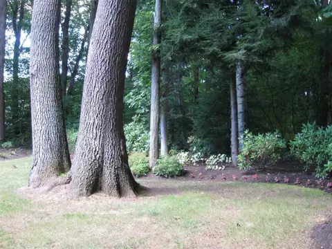 23 Windsor Ct, Delmar, NY 12054 photo 4