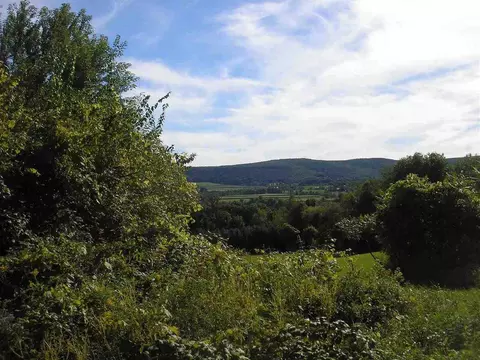 269 Knox Rd, Schoharie, NY 12157 photo 4