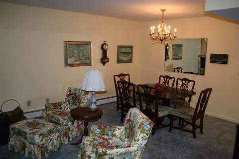 21 Willow Dr, Delmar, NY 12054 photo 7