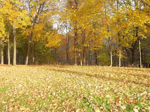 83 Wright Ln, Delmar, NY 12054 photo 3