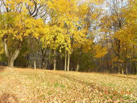 83 Wright Ln, Delmar, NY 12054 photo 5