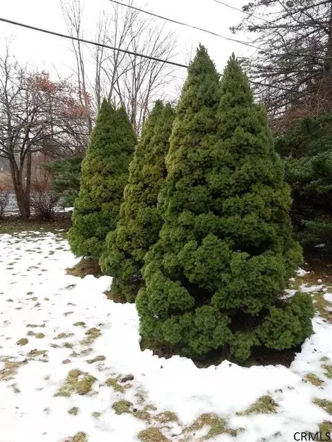 293 Elm Ave, Delmar, NY 12054 photo 7