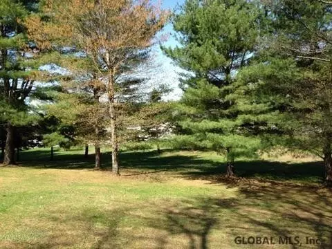 202 Fish Hatchery Rd, Cambridge, NY 12816 photo 19