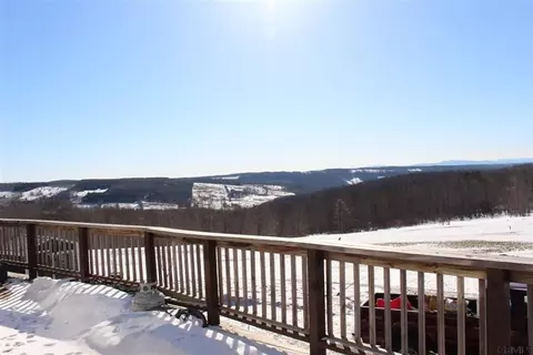 744 Baldwin Rd, Summit, NY 12175 photo 15