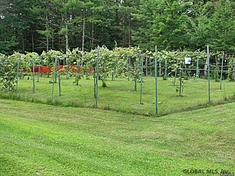 268 Stanton Rd, Shushan, NY 12873 photo 4