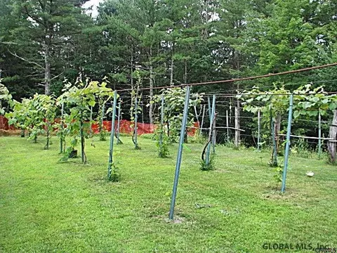 268 Stanton Rd, Shushan, NY 12873 photo 21