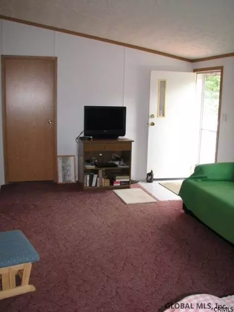 268 Stanton Rd, Shushan, NY 12873 photo 10