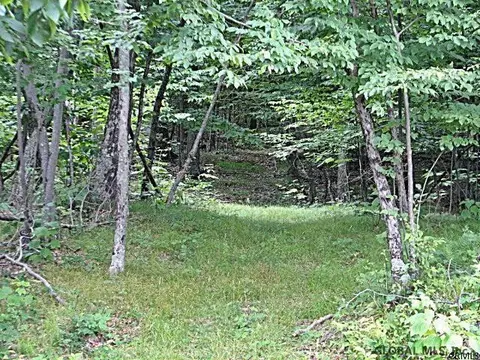 268 Stanton Rd, Shushan, NY 12873 photo 25