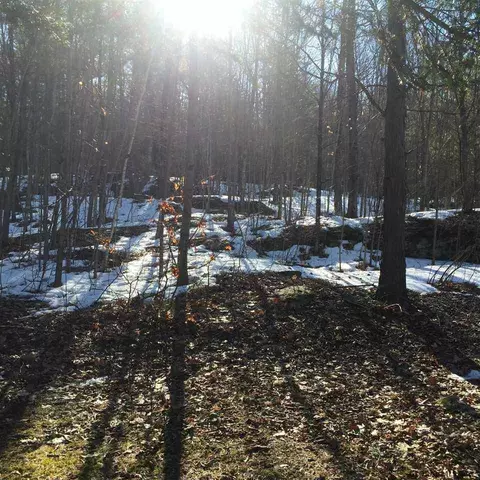 390 E Lake Rd, Argyle, NY 12809 photo 17