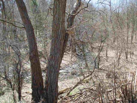 845 River Rd, Rotterdam, NY 12306 photo 24
