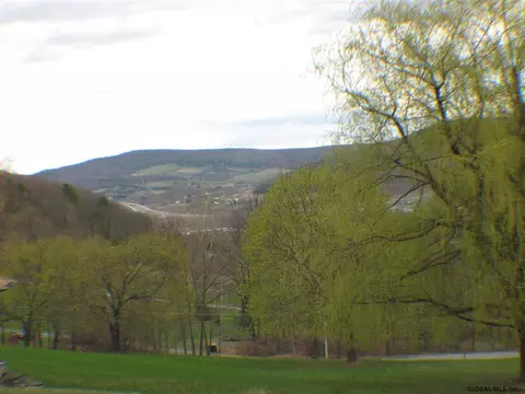 217 Settles Mountain Rd, Cobleskill, NY 12043 photo 21
